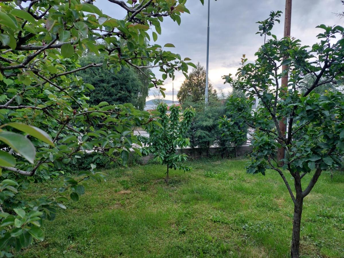 Mateski Guest House Ohrid Exterior foto
